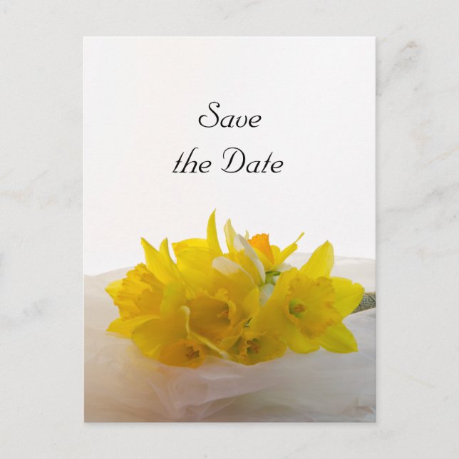 Yellow Daffodils on White Wedding Save the Date Announcement Postcard (Front)