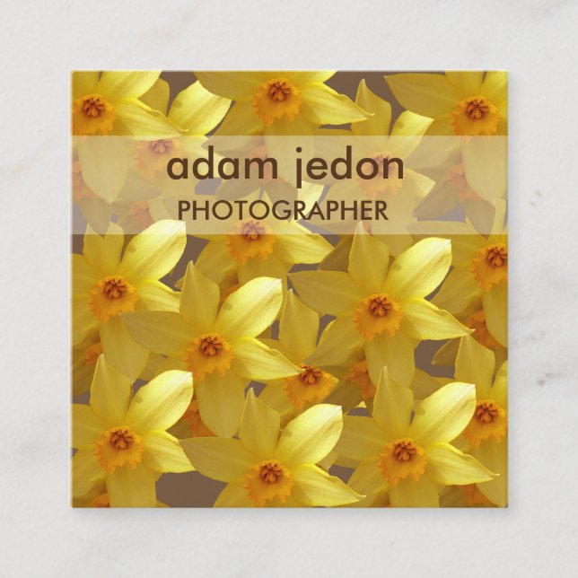 Yellow daffodils photos Square Business Card (Front)