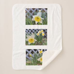 Yellow Daffodils Sherpa Blanket