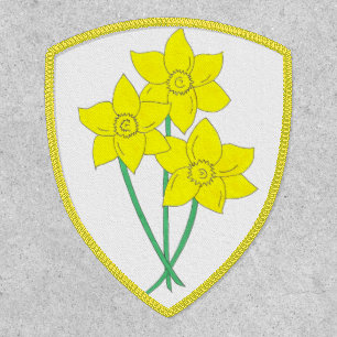 Yellow Daffodils Spring Flowers Bunch Floral Patch