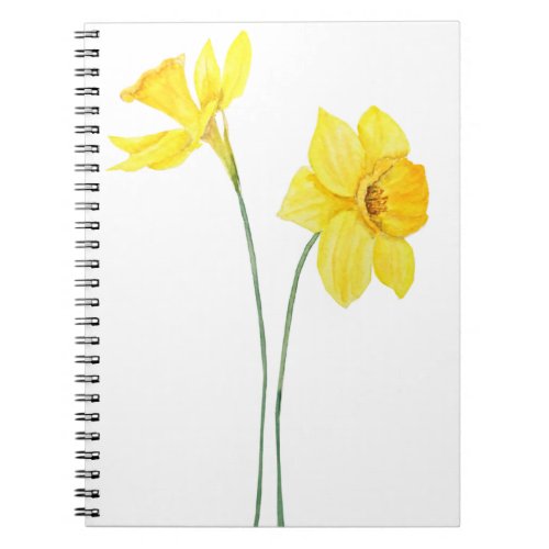 yellow daffodils watercolor painting notebook