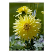 Yellow Dahlia Card (Front)