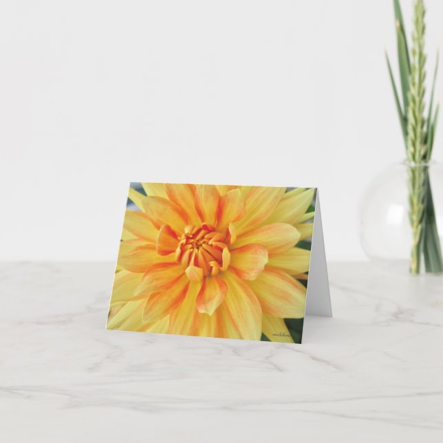Yellow dahlia, close up thank you card (Front)