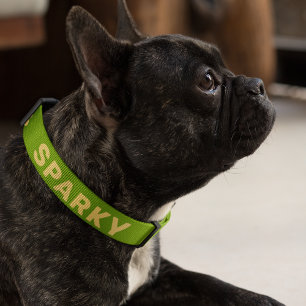 Yellow Dahlia Floral Pattern on Green Personalized Pet Collar