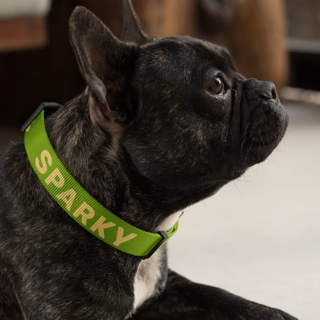 Yellow Dahlia Floral Pattern on Green Personalized Pet Collar (In Situ)