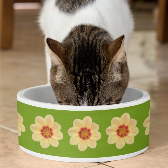 Yellow Dahlia Floral Pattern on Green Pet Bowl (Creator Uploaded)