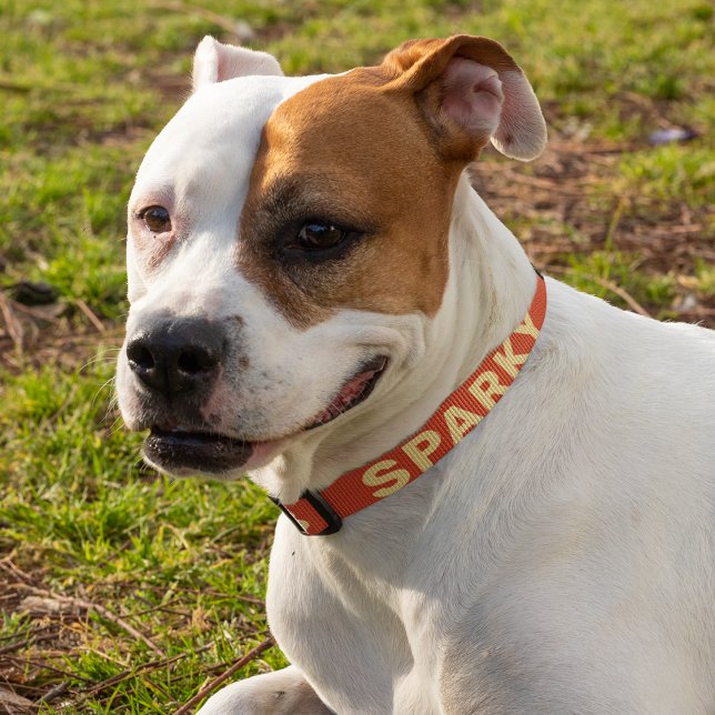 Yellow Dahlia Floral Pattern on Red Personalized Pet Collar (In Situ)
