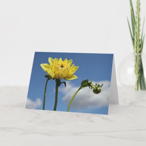 Yellow Dahlia flower in the sun Card