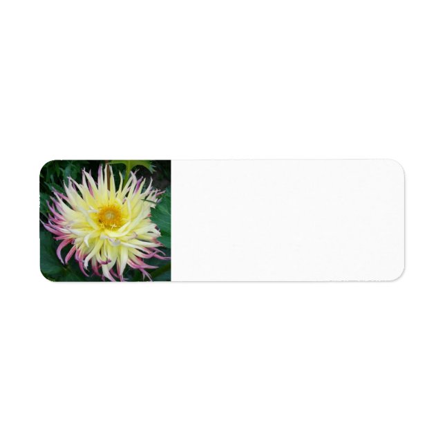 Yellow Dahlia Flower Label (Front)