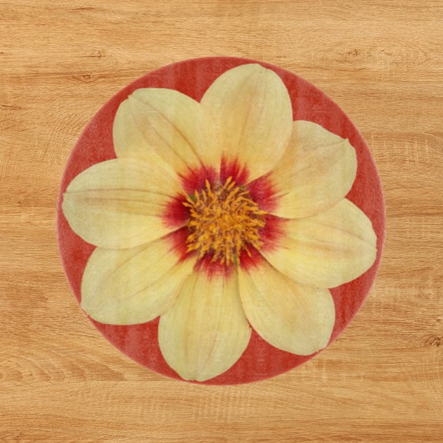 Yellow Dahlia on Red Floral Cutting Board (In Situ)