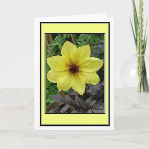Yellow Dahlia Pinnata Greetings Card