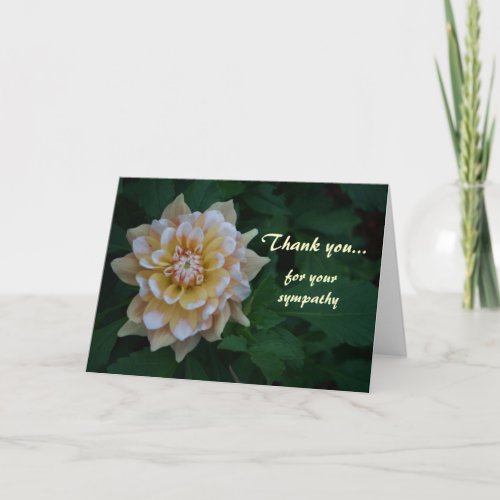 Yellow dahlia Thank you for your sympathy cards