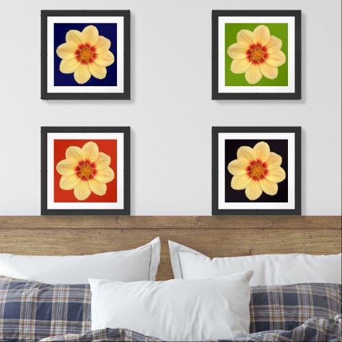 Yellow Dahlia with Assorted Color Backgrounds Wall Art Sets