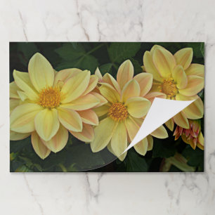 Yellow Dahlias Floral Paper Placemats