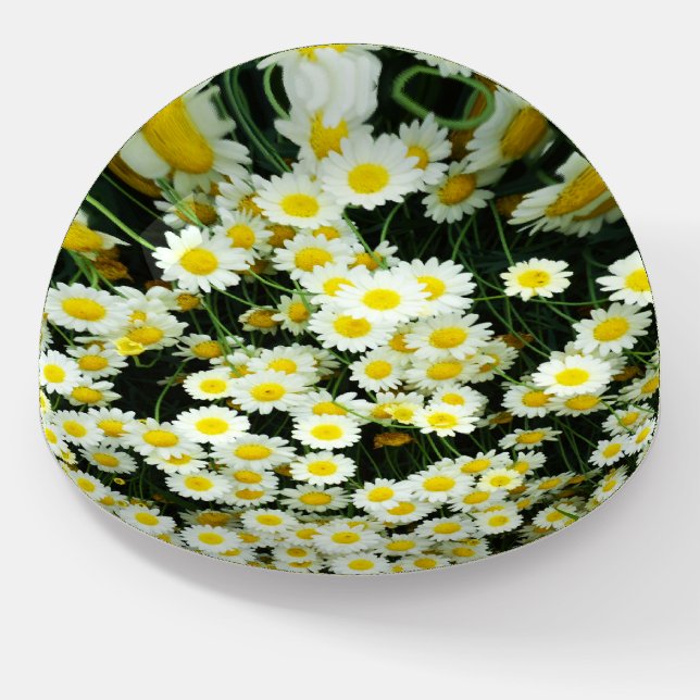 Yellow Dainty Daisy Flower Buttons,  Paperweight (Angled)