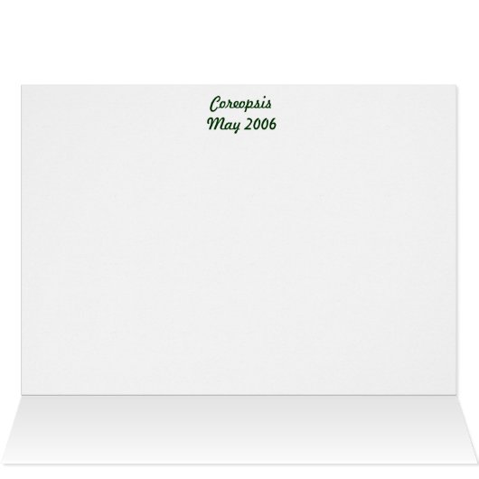 yellow daisies (Inside Horizontal (Top))