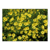Yellow Daisies (Front Horizontal)