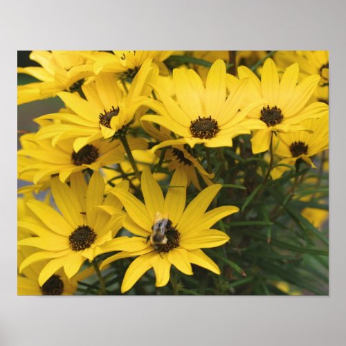 Yellow Daisies And Bumble Bee Poster