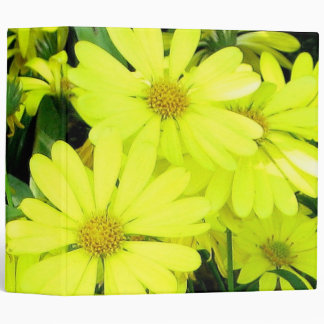 Yellow Daisies Binder