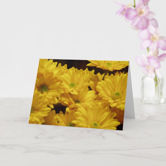 Yellow Daisies Card (Orchid)
