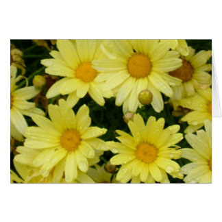 yellow daisies cards