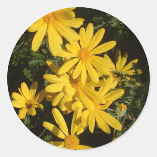 Yellow Daisies Classic Round Sticker