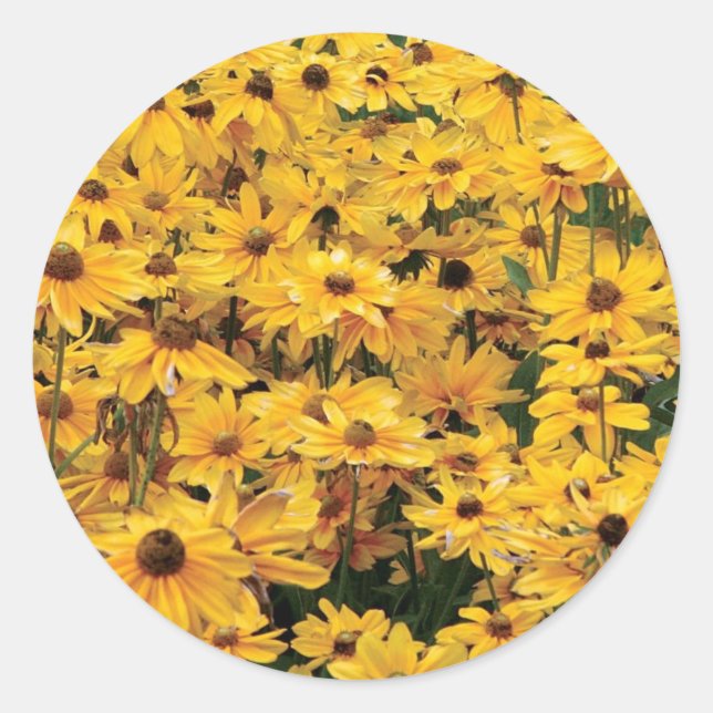 Yellow Daisies Envelope Seal Stickers (Front)