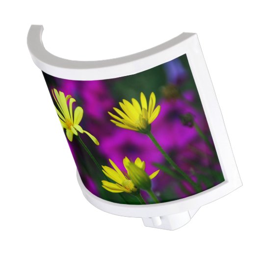 Yellow Daisies in a Bed of Purple Night Light (Angled)