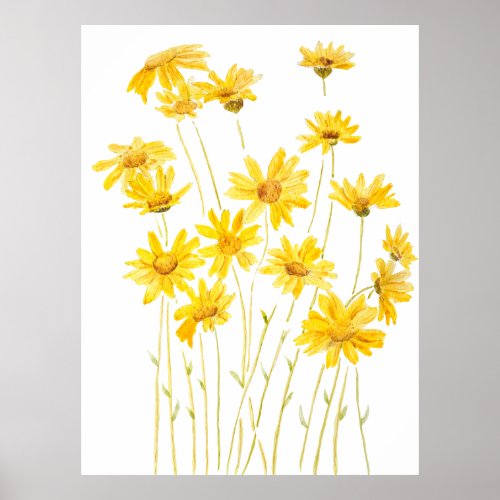 yellow daisies in bloom poster