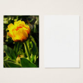 yellow daisy (Front & Back)