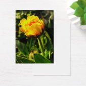 yellow daisy (Desk)