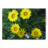 Yellow Daisy Card (Front Horizontal)