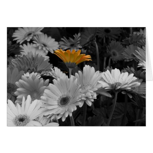 Yellow Daisy Card (Front Horizontal)