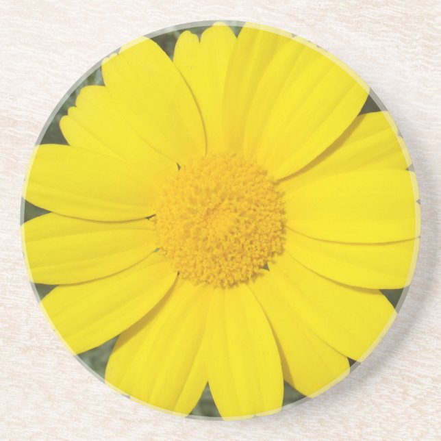 Yellow Daisy coaster (Front)