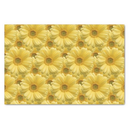 Yellow Daisy Daisies Floral Gift Tissue Paper