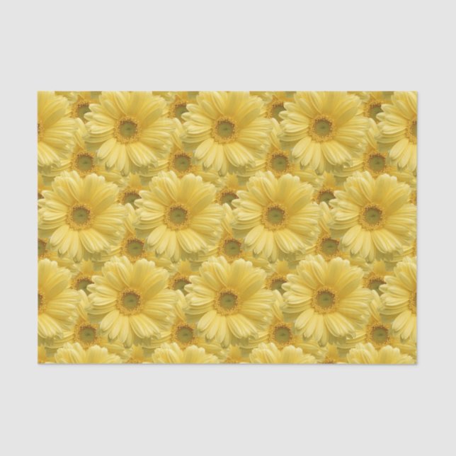 Yellow Daisy Daisies Floral Gift Tissue Paper (Front)