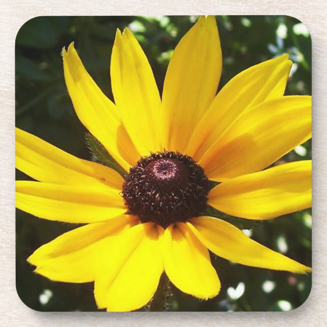 Yellow Daisy Drink Coaster (Front)