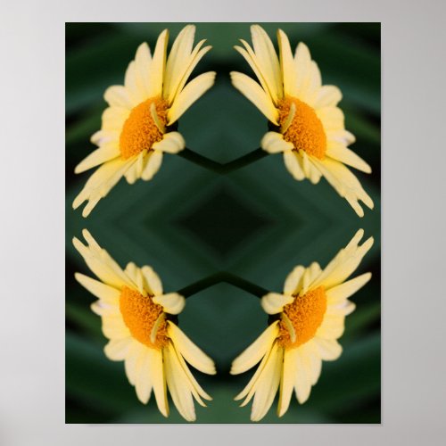 Yellow Daisy Flower Close Up Abstract  Poster