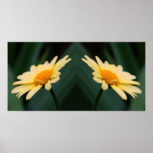 Yellow Daisy Flower Mirror Abstract Poster