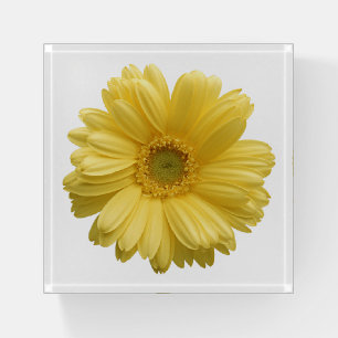 Yellow Daisy Flower Paperweight