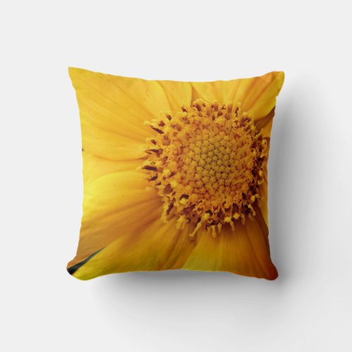 Yellow Daisy Flower Petals And Center Close Up  Throw Pillow