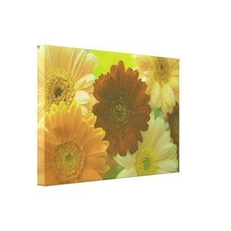 Yellow Daisy Flower Photo Canvas Wall Art Print