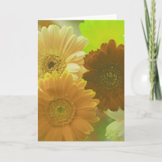 Yellow Daisy Flowers Photo Note or Greeting Cards
