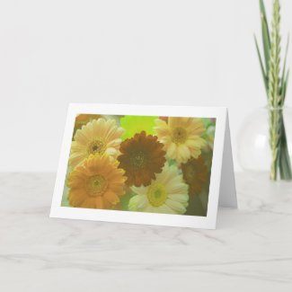 Yellow Daisy Flowers Photo Note or Greeting Cards