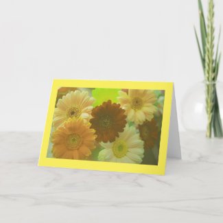 Yellow Daisy Flowers Photo Note or Greeting Cards