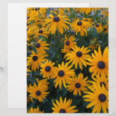 Yellow daisy garden flowers. (Front/Back)