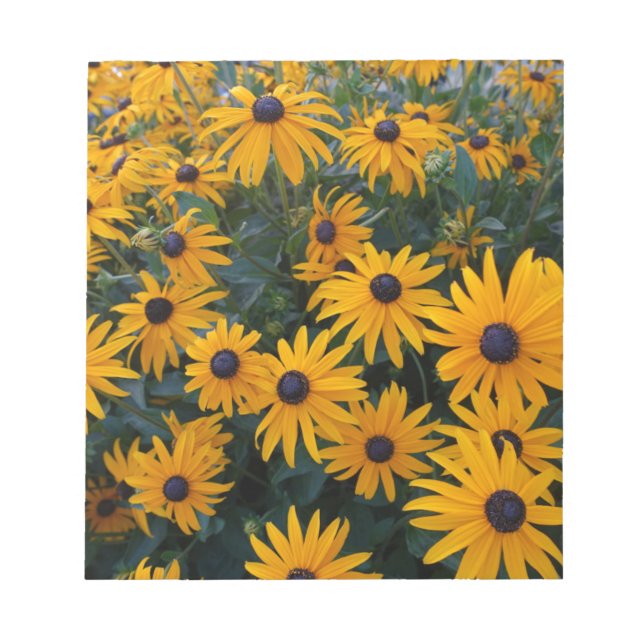 Yellow daisy garden flowers. notepad (Front)