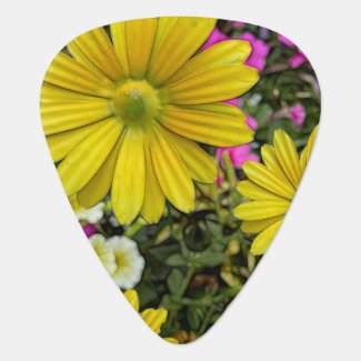 Yellow Daisy Garden Guitar Pick