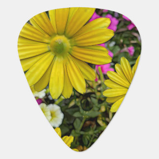 Yellow Daisy Garden Guitar Pick