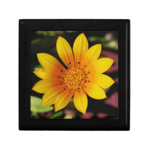 Yellow Daisy Gift Box